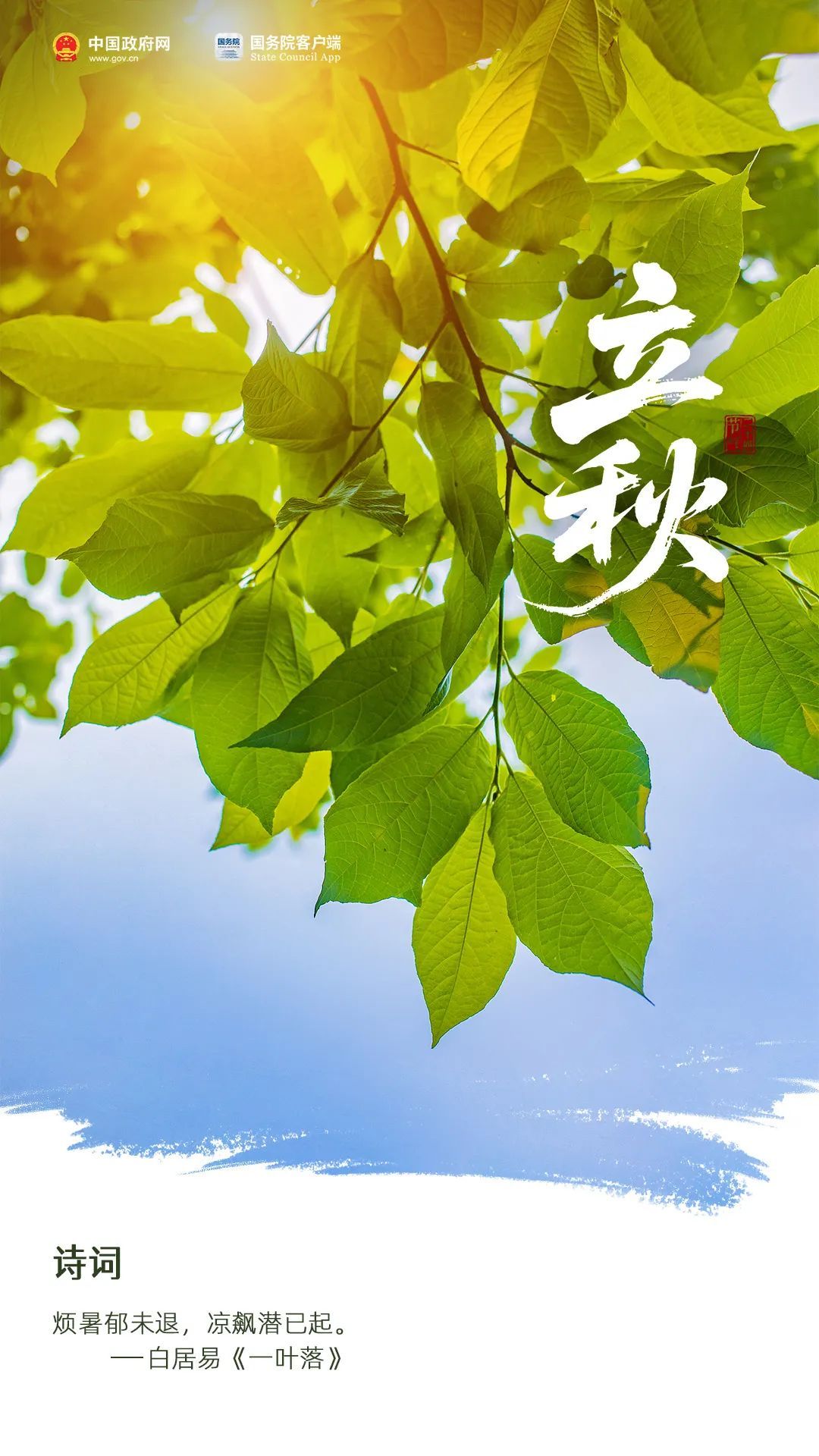 今日立秋 | 想道“天凉好个秋”？其实……