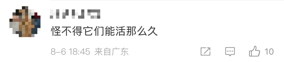 广东暴雨 蟑螂成群出动…… 广东暴雨 蟑螂成群出动……