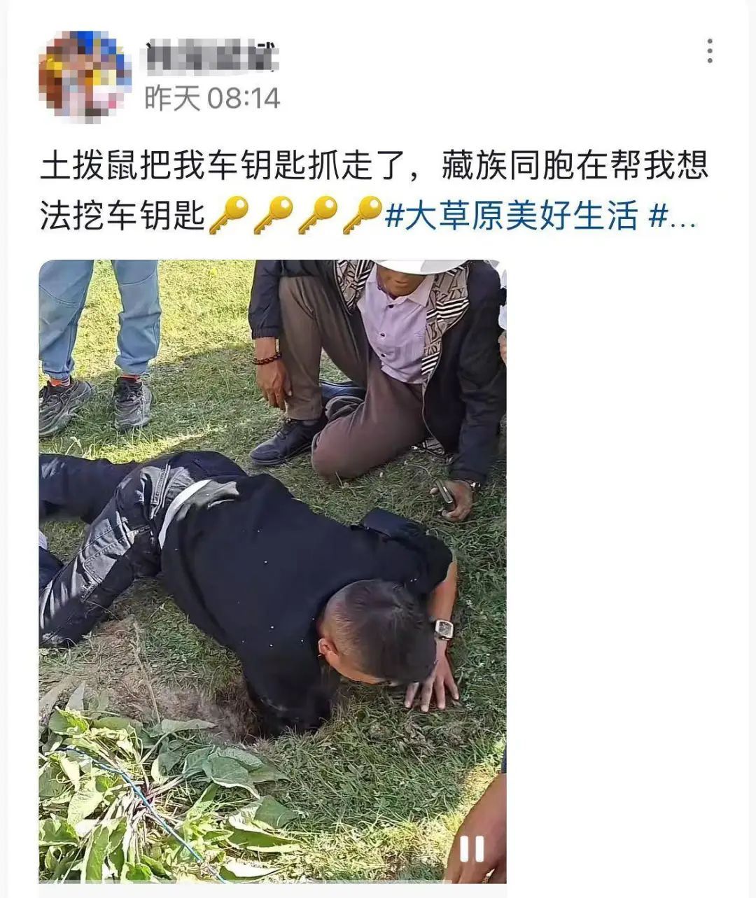 川西土拨鼠“大盗”偷完相机偷车钥匙，网友：是打算自驾做旅行博主吗？