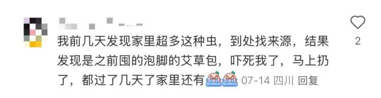 头皮发麻！不少人家中出现，抽屉、橱柜缝、床上都有！发现赶紧扔