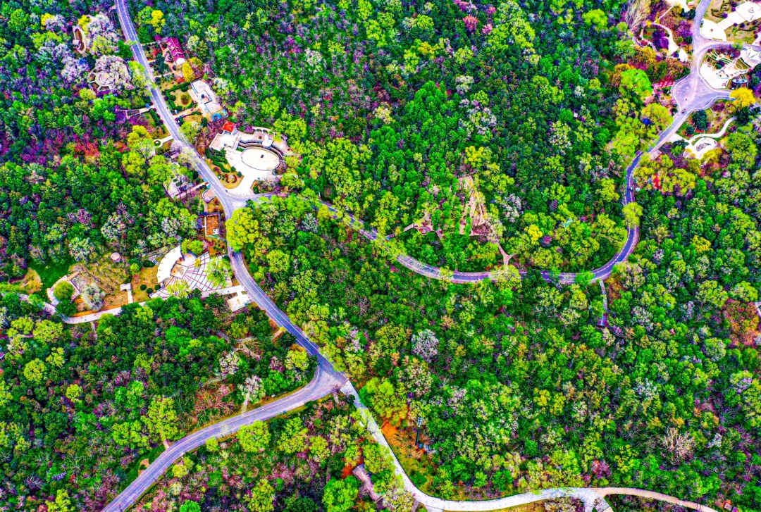 空调“续命”？沈阳喊你来避暑！这些地方超凉爽→