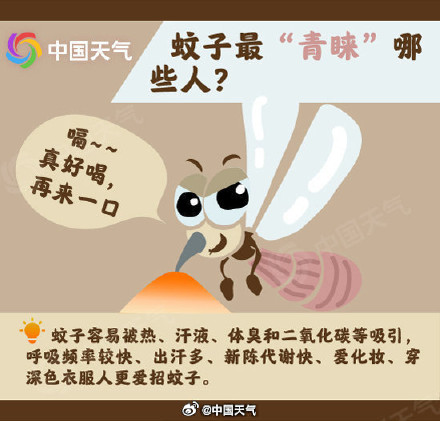 你招蚊子可能是这个原因