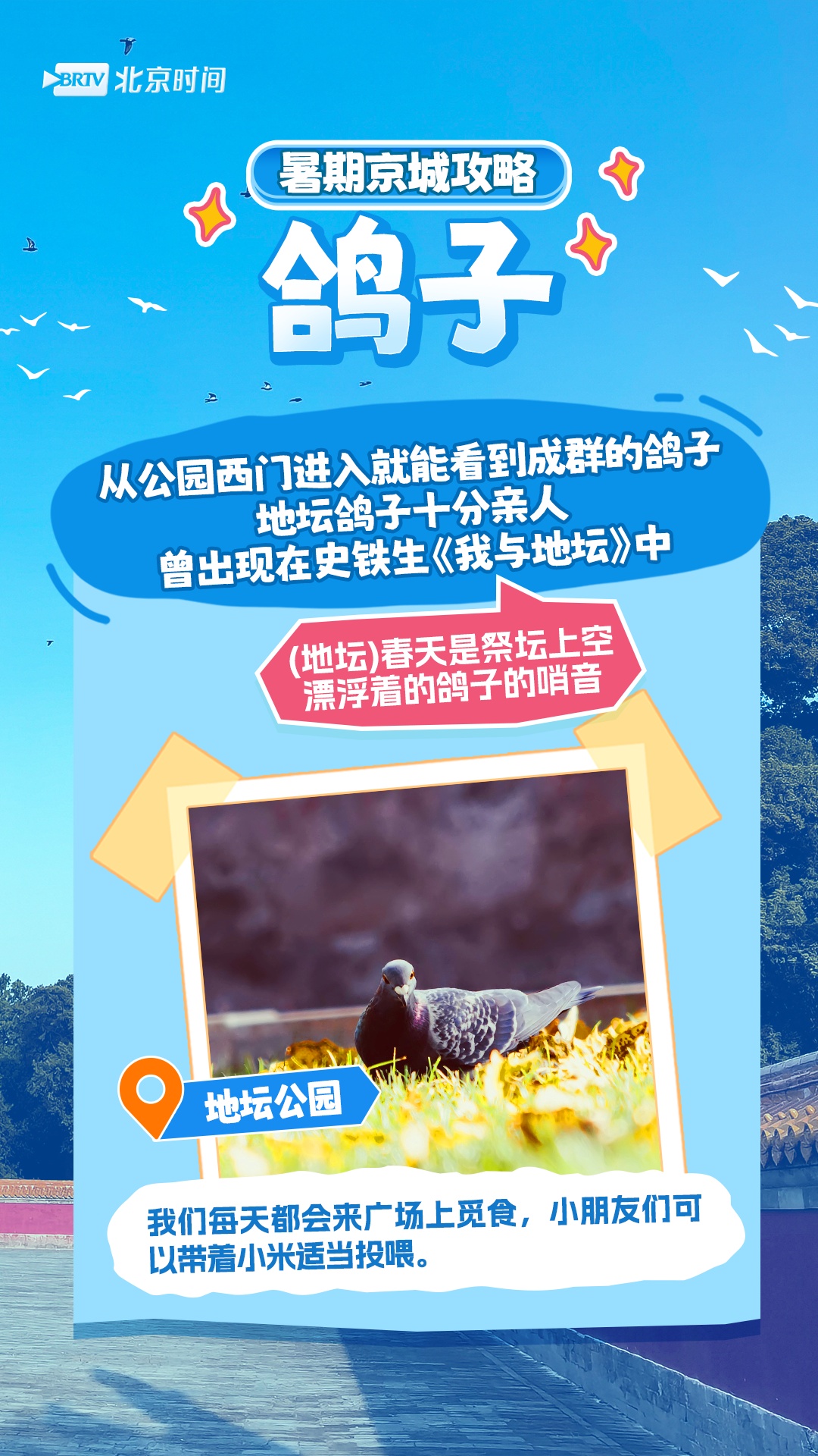 周末怎么过？和北京的“网红动物”一起过！