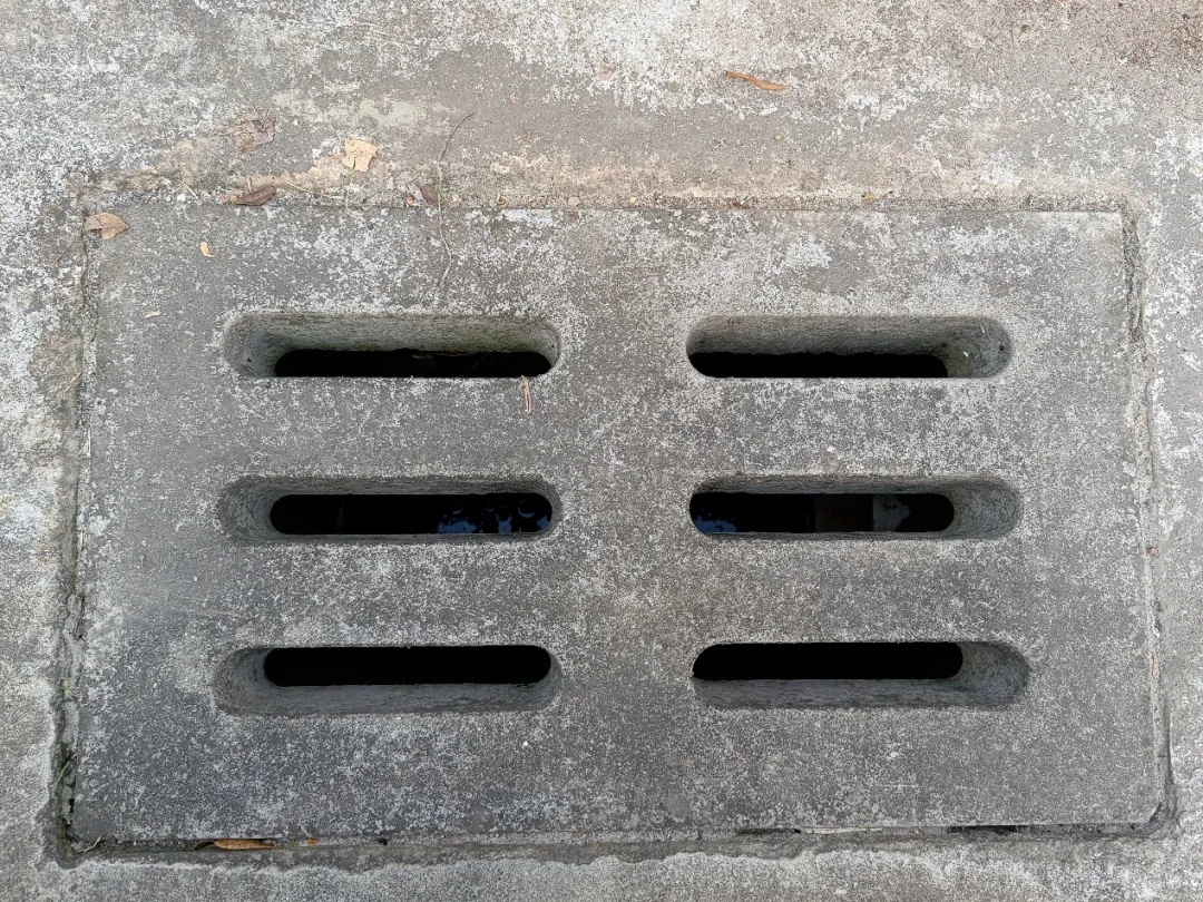 家里的这几个地方，正悄悄“养”出花斑蚊！