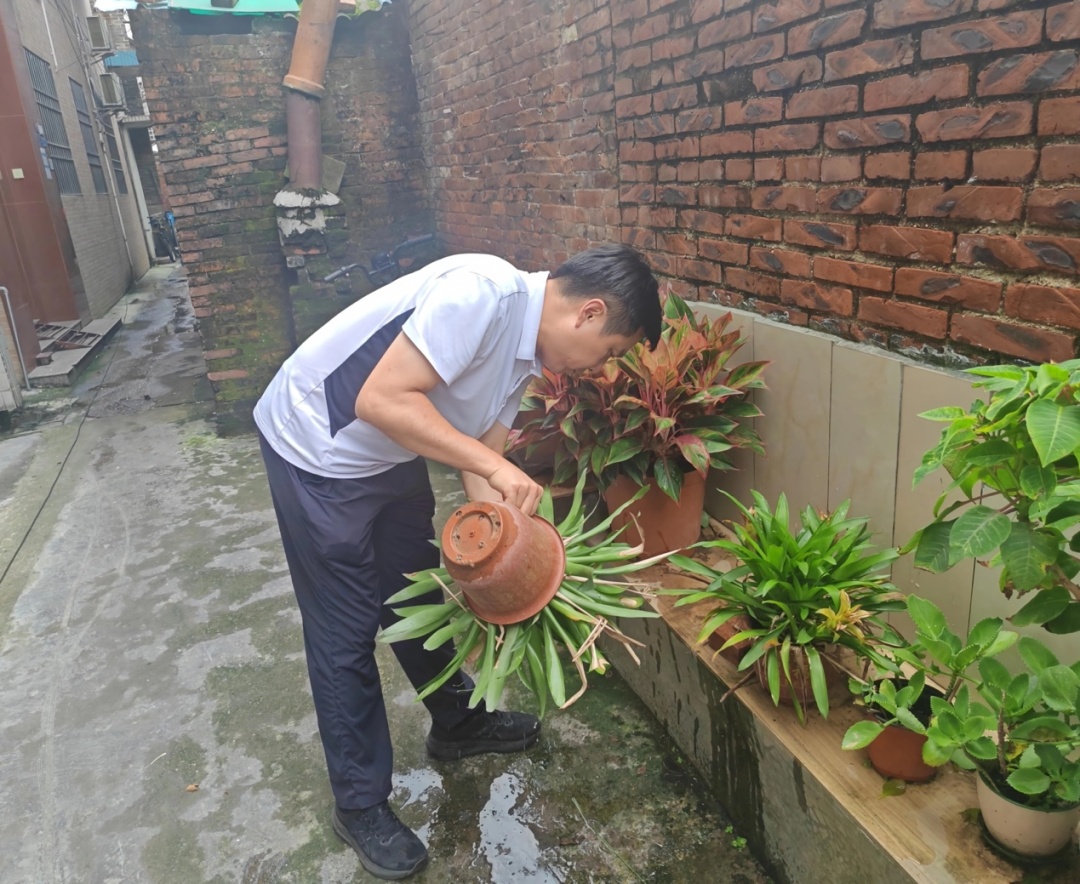 佛山“灭蚊战”