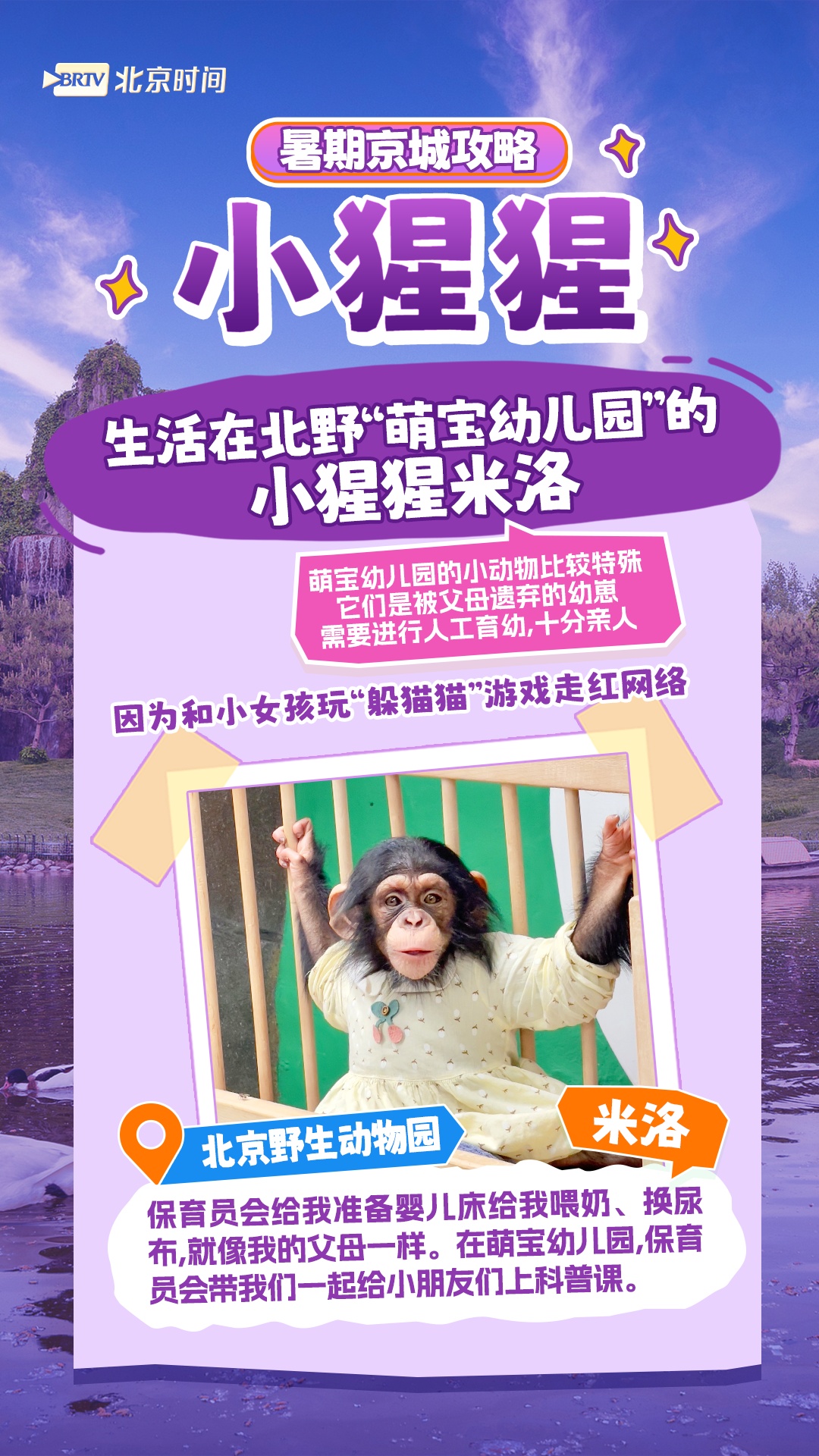 周末怎么过？和北京的“网红动物”一起过！