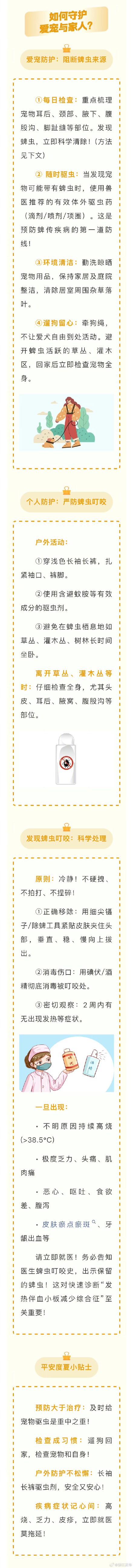 当心！宠物身上藏“虫”，咬人可致病