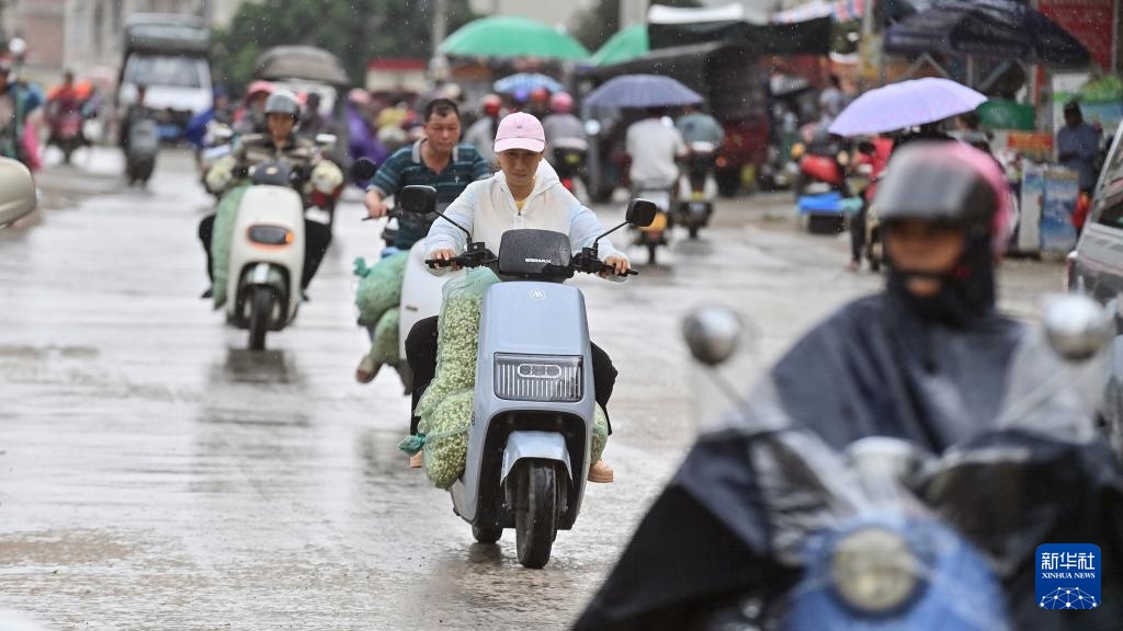 宝藏之城丨这座小城的茉莉花香飘世界