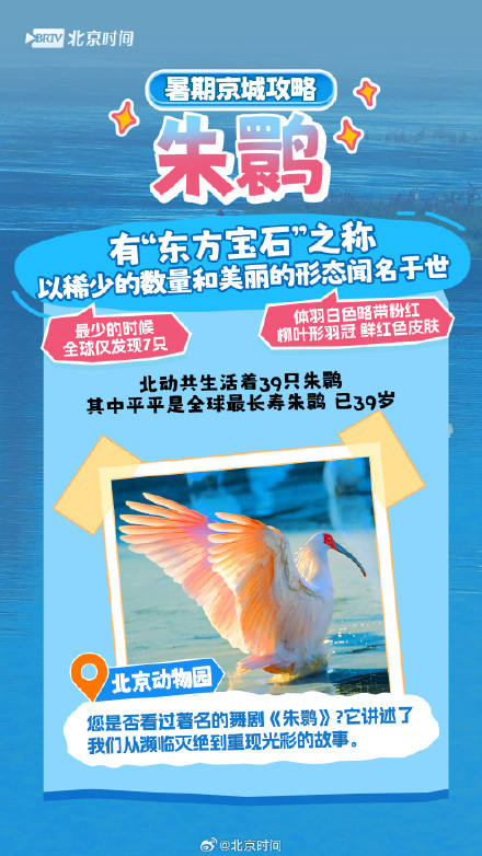 北京网红动物大盘点