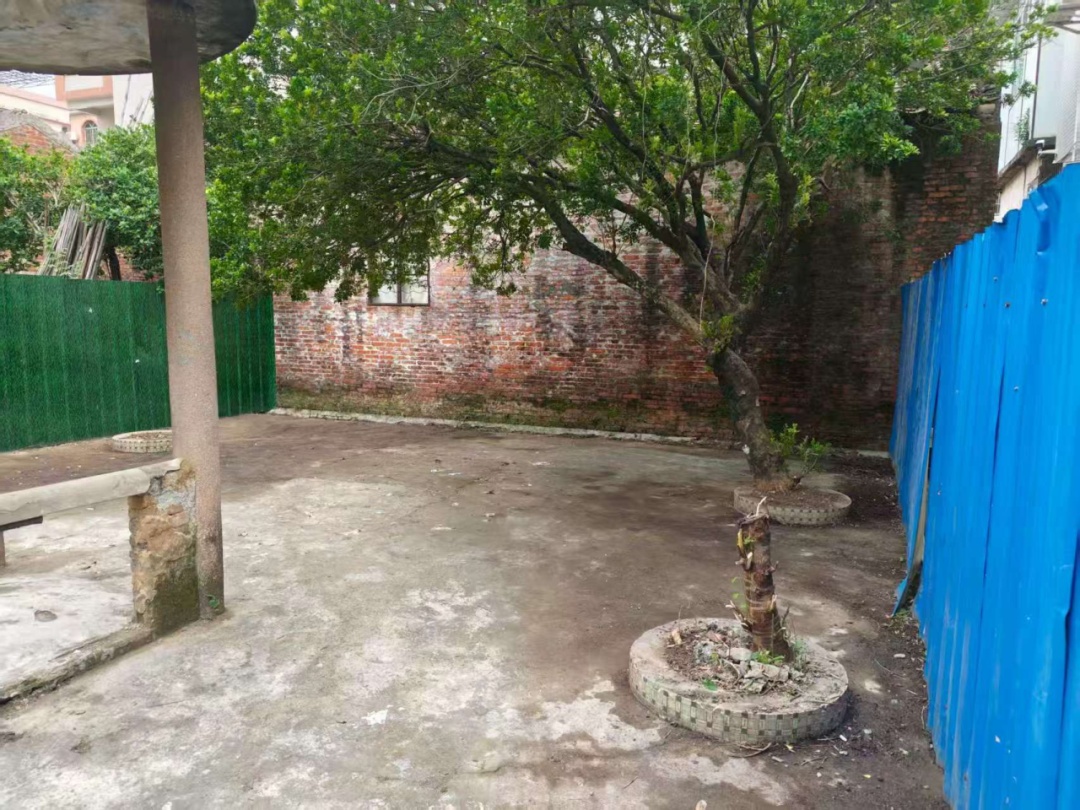 佛山“灭蚊战”