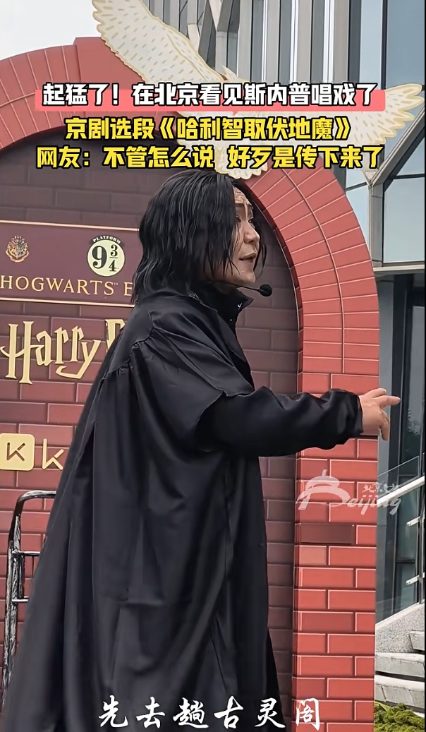 “大蟑螂”发簪、胸针、项链卖断货了，店主：专门抓了几只活的观察