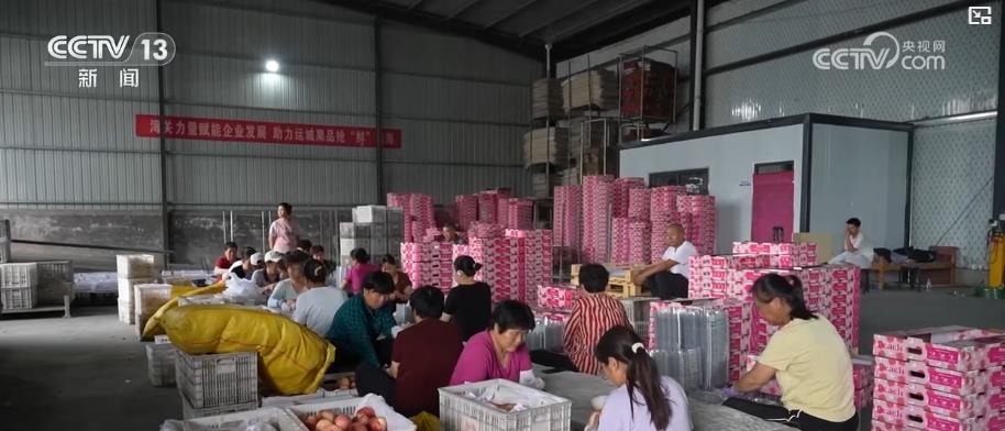 进出口总值突破3万亿元！黄河流域打造内陆对外开放新高地