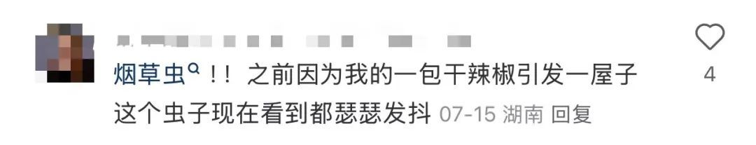 会飞、会爬，很多家中出现……抽屉、橱柜缝、床上都有！发现立刻扔