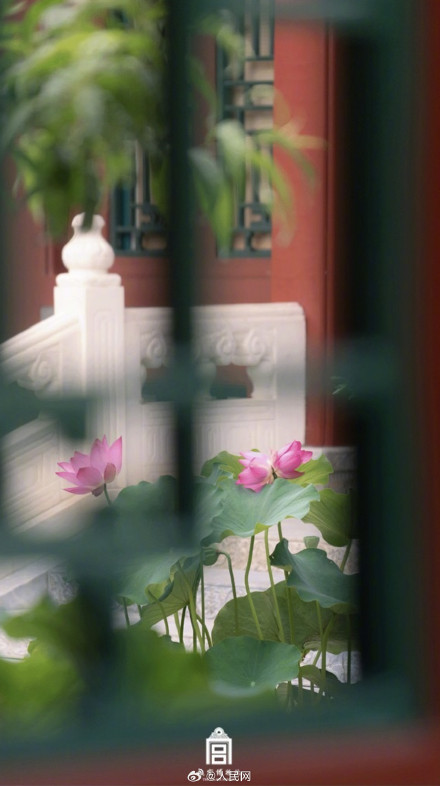 故宫送你好运莲莲壁纸
