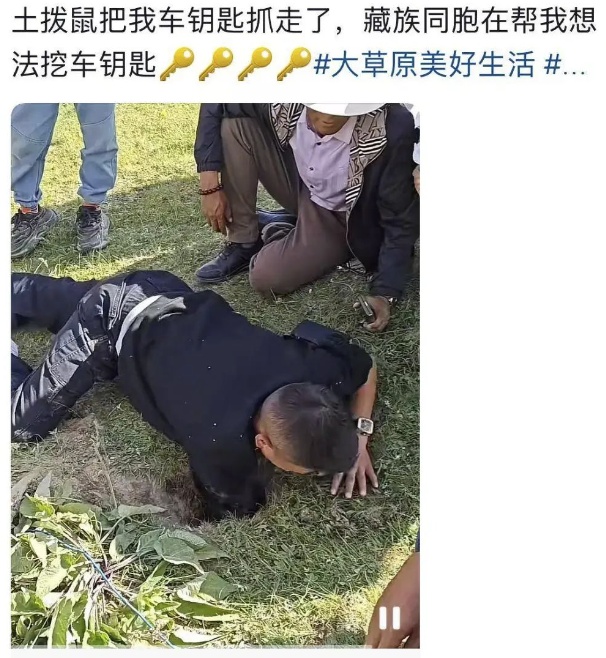 游客相机被土拨鼠抢走，崩溃捶地怒吼：你别跑！为啥子！