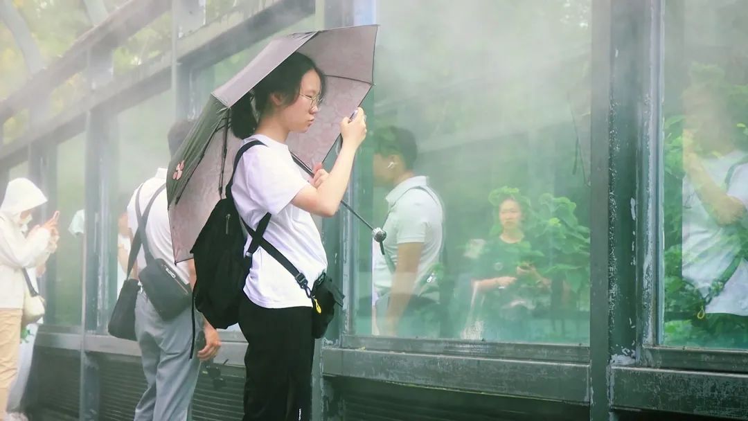 合肥姑娘正在打工，收到清华录取通知书