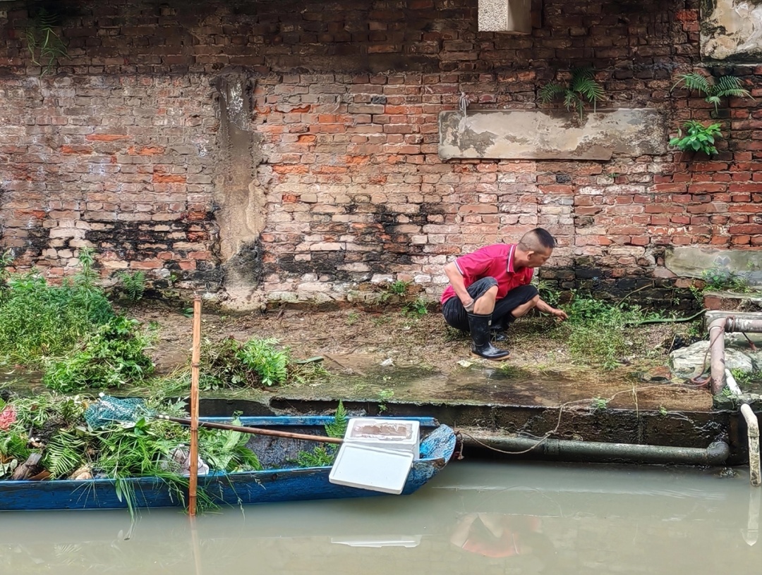佛山“灭蚊战”
