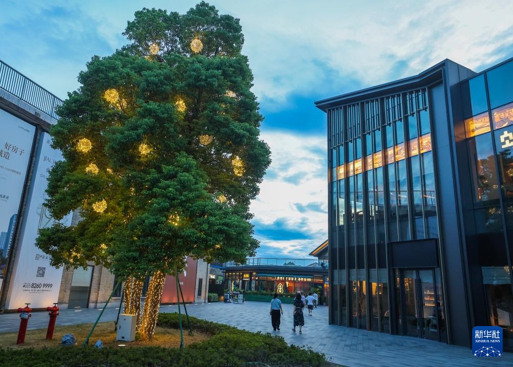 浙江嘉兴:夏日烟火集助力夜经济 浙江嘉兴:夏日烟火集助力夜经济