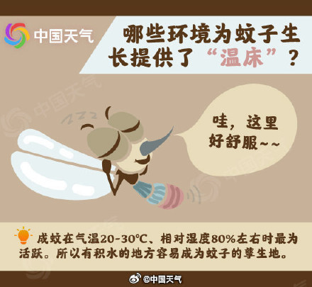 你招蚊子可能是这个原因