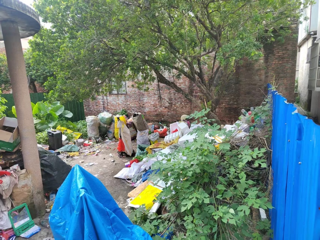 佛山“灭蚊战”