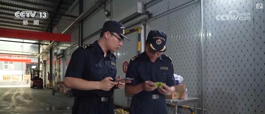 进出口总值突破3万亿元！黄河流域打造内陆对外开放新高地