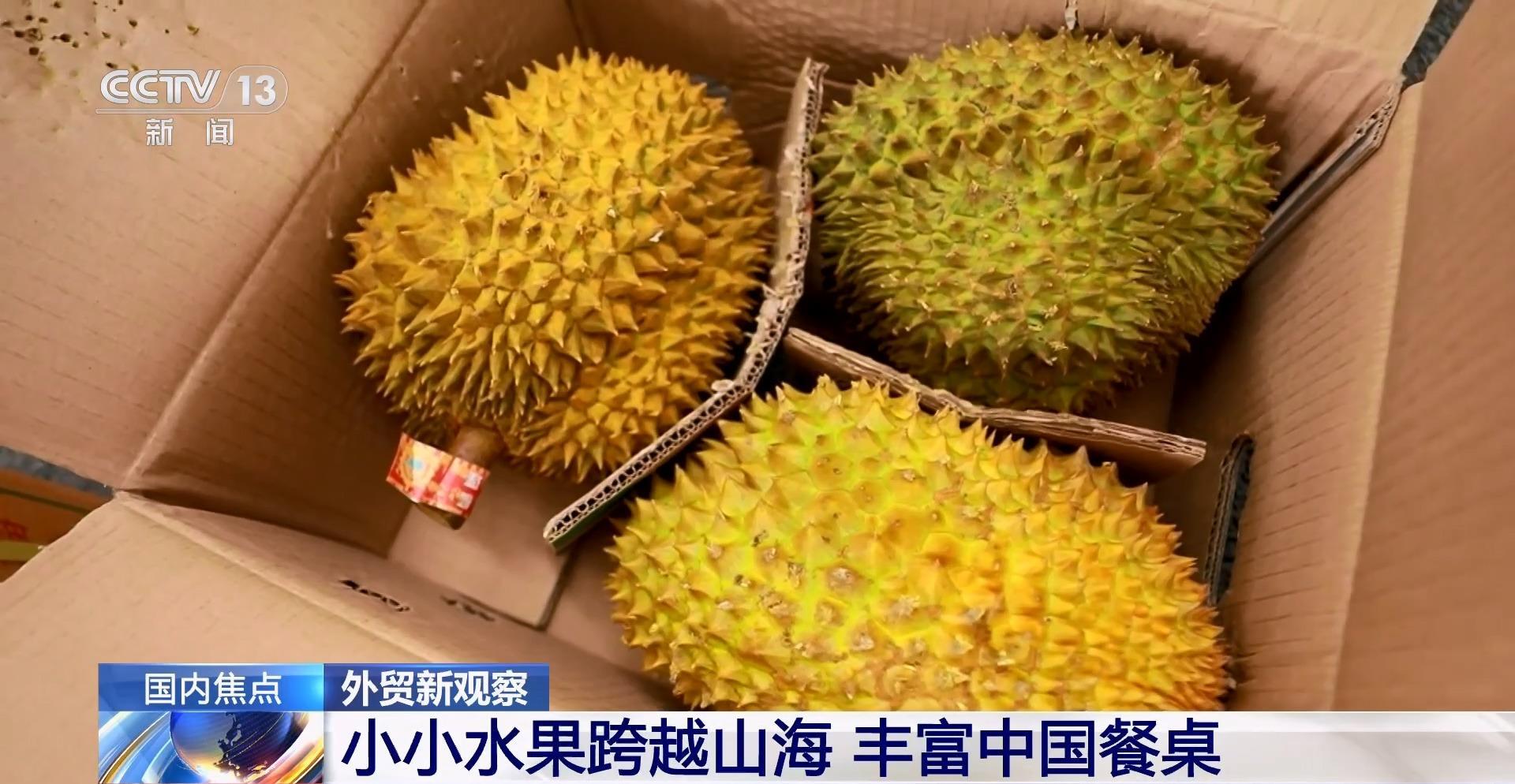 舌尖上的“甜蜜奔赴” 东盟水果跨越山海上餐桌 舌尖上的“甜蜜奔赴” 东盟水果跨越山海上餐桌