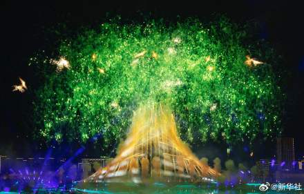 世运烟花大赏每一幕都是壁纸