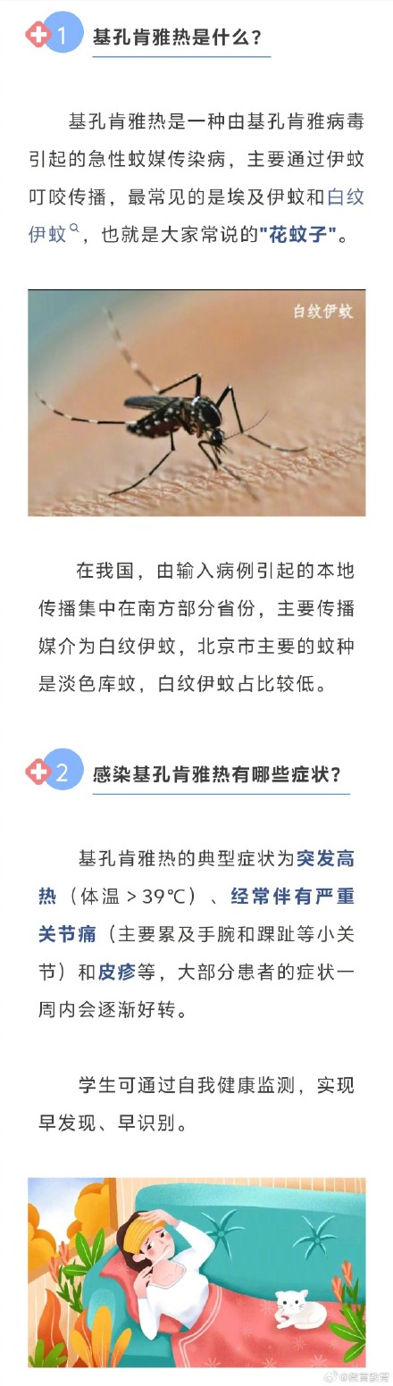 暑期出行，注意预防基孔肯雅热，这些细节别忽略