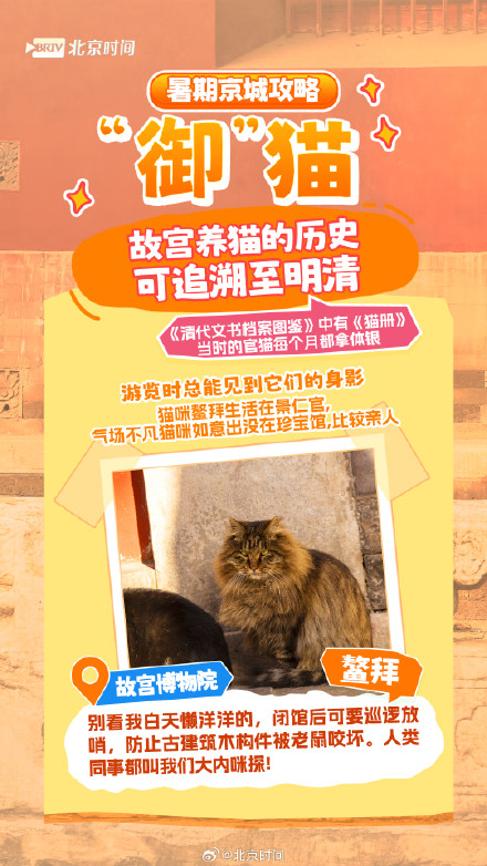 北京网红动物大盘点