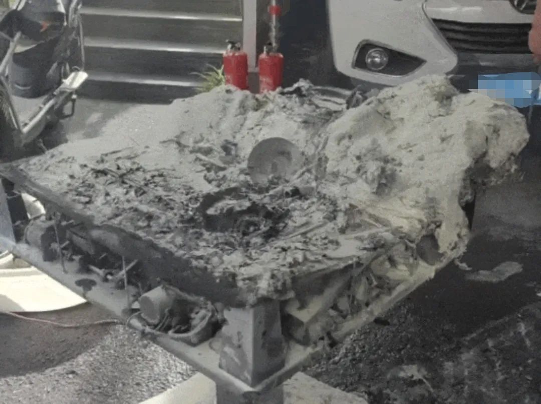 麻将自动“糊”了！主人却笑不出来