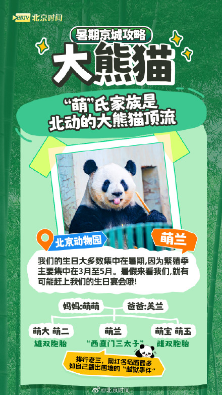 北京网红动物大盘点
