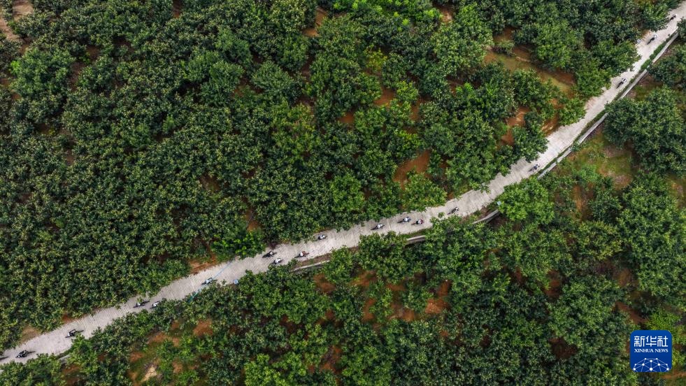 全民健身 乐享运动