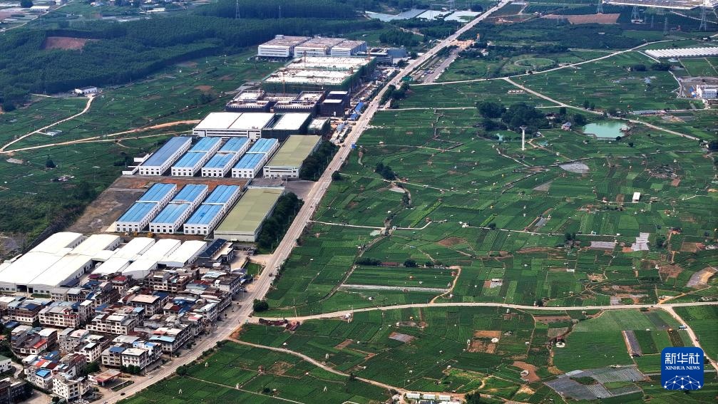 宝藏之城丨这座小城的茉莉花香飘世界