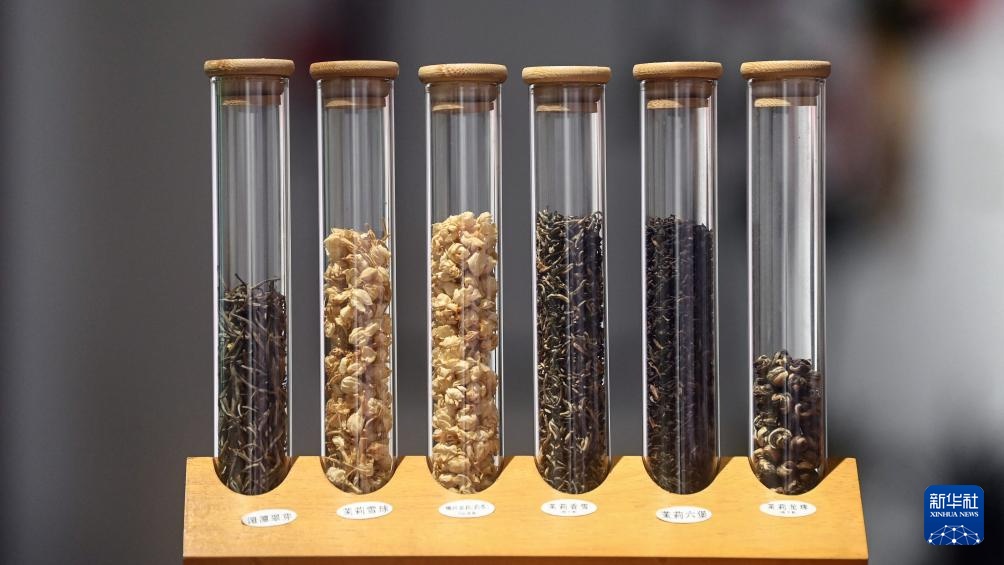 宝藏之城丨这座小城的茉莉花香飘世界