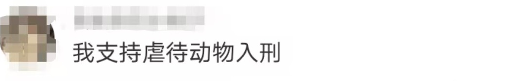 冲上热搜！网友怒了！女子去猫咖包房虐猫致多只猫死伤，该担何责？