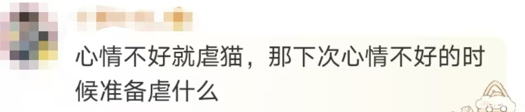 冲上热搜！网友怒了！女子去猫咖包房虐猫致多只猫死伤，该担何责？