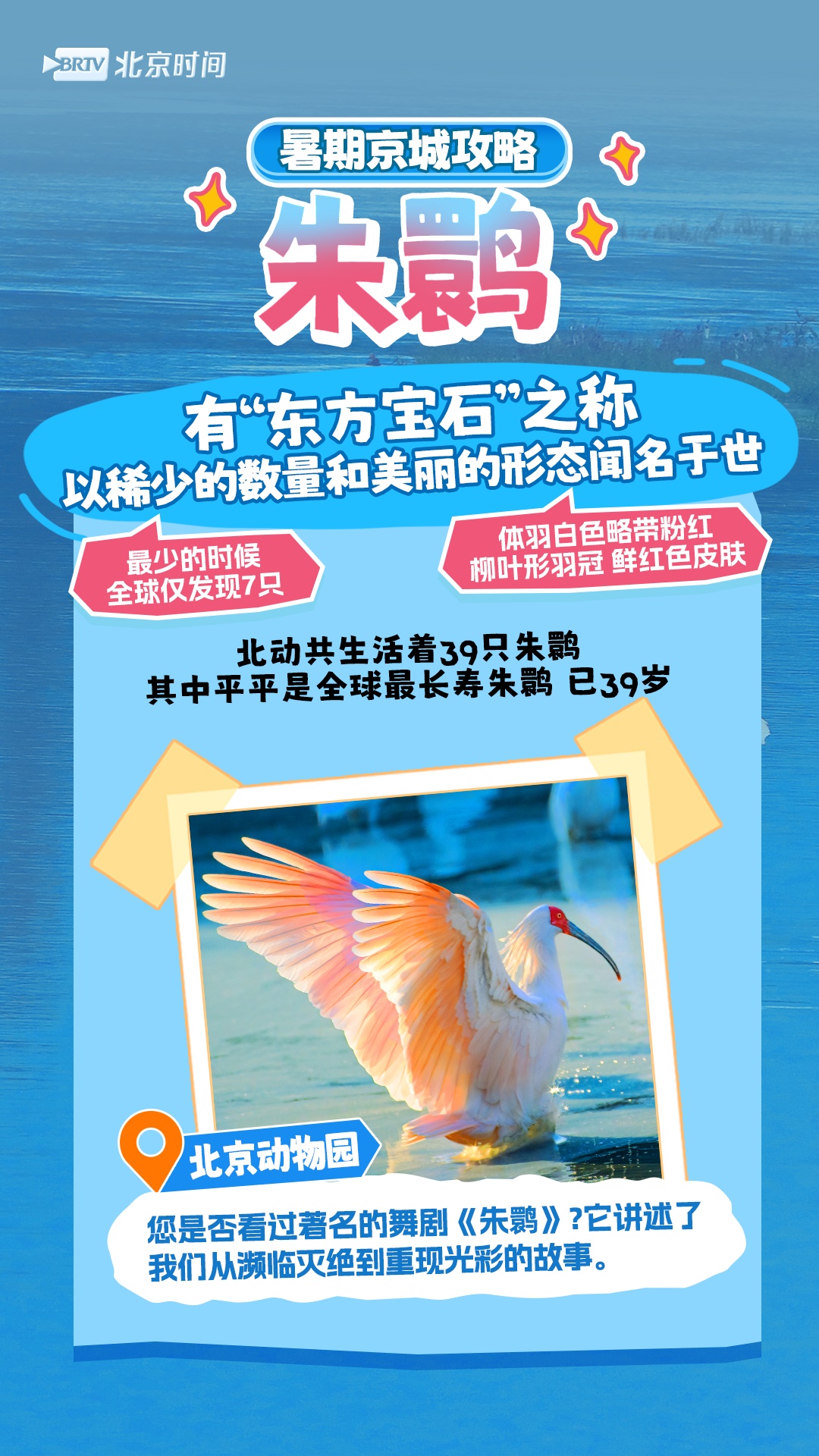 周末怎么过？和北京的“网红动物”一起过！
