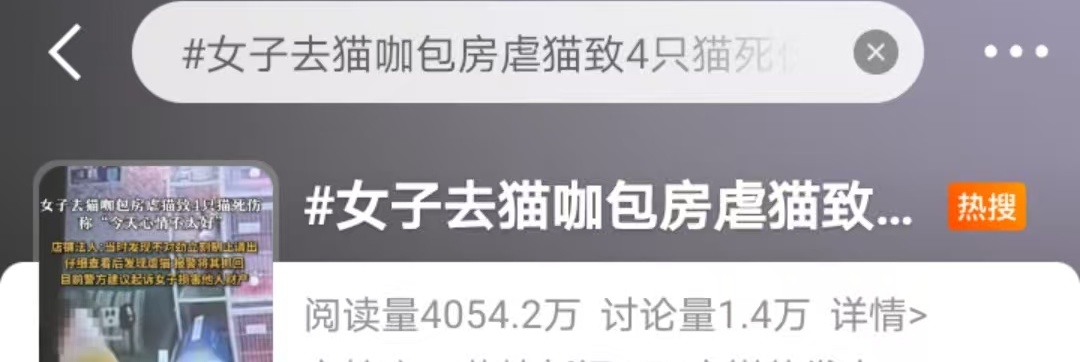 冲上热搜！网友怒了！女子去猫咖包房虐猫致多只猫死伤，该担何责？
