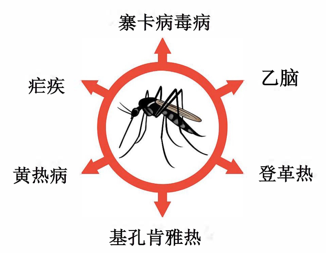 这样驱蚊，更有效！