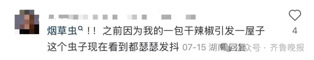 头皮发麻！虫子竟是从这种物品中出现，很多家都常备……快检查一下