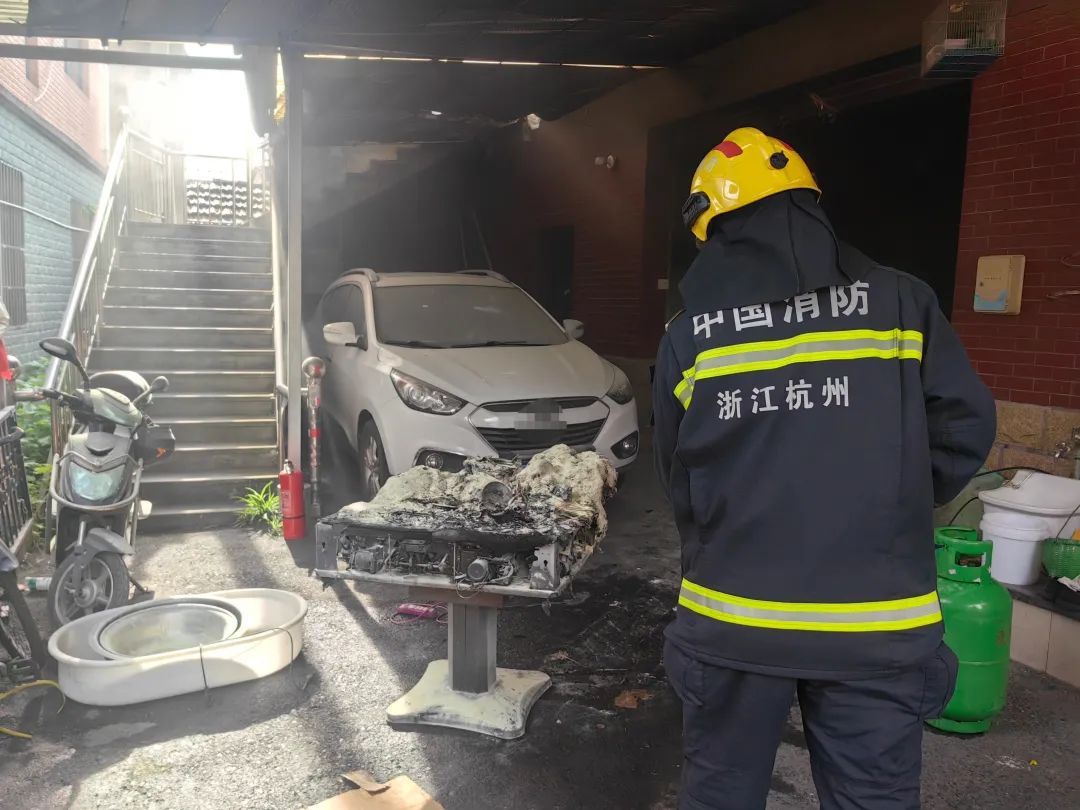 麻将自动“糊”了！主人却笑不出来