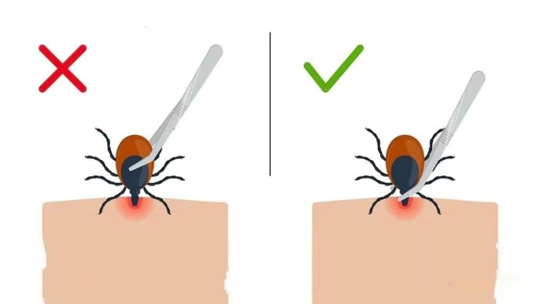 南京疾控发布重要提醒