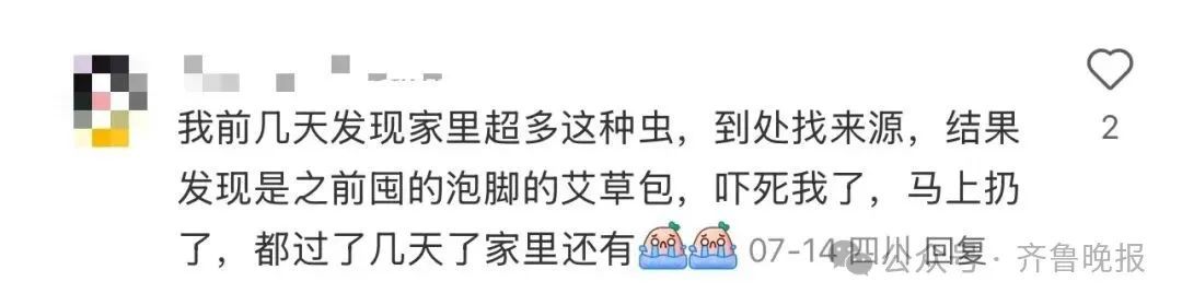 头皮发麻！虫子竟是从这种物品中出现，很多家都常备……快检查一下