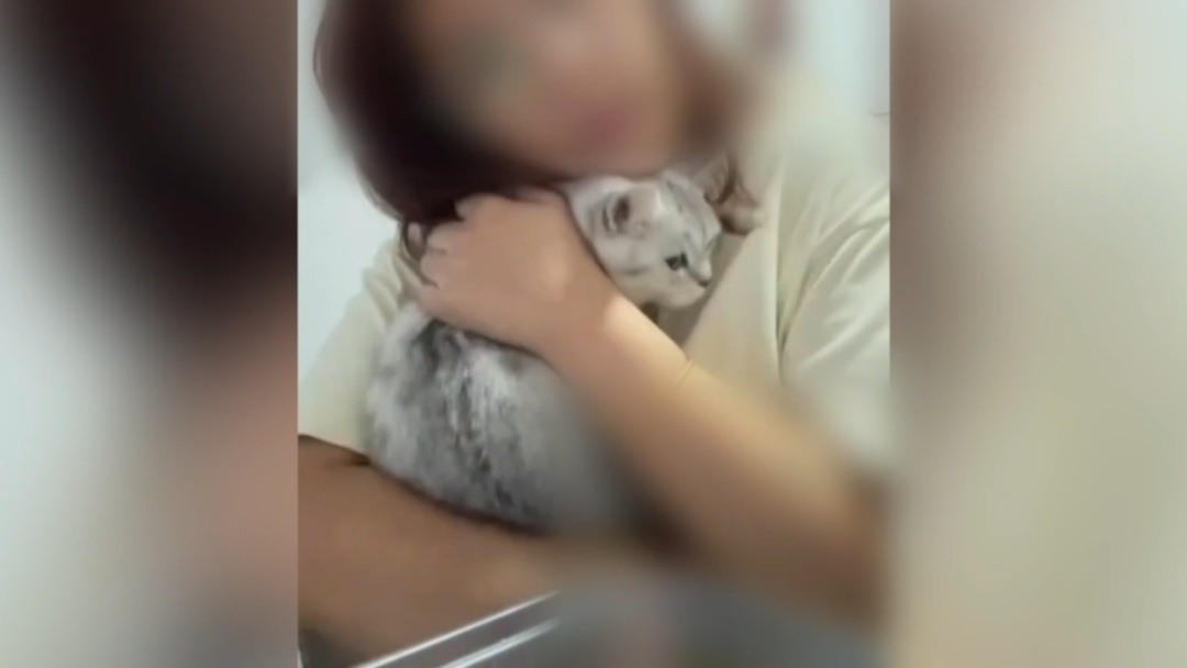 “我连猫都不如！”他竟为此痛杀女友，警方在卫生间发现一滴血