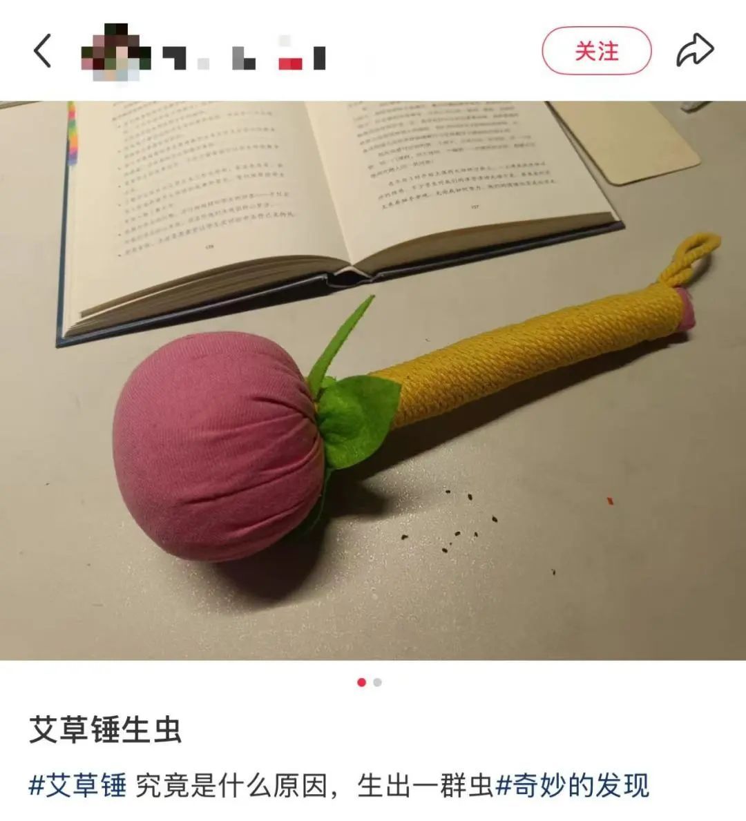 会飞会爬，不少人家中出现“神秘怪虫”！提醒：发现请立刻扔了！