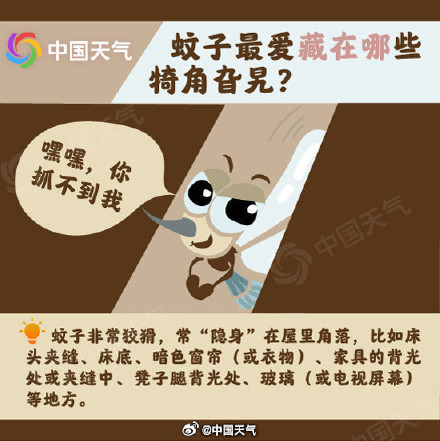你招蚊子可能是这个原因