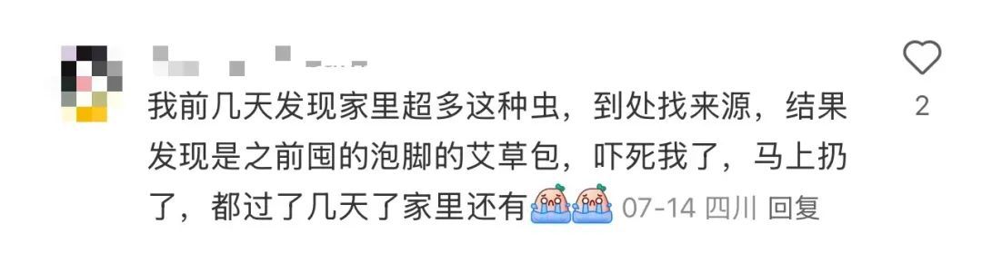 会飞、会爬，很多家中出现！抽屉、橱柜缝、床上都有！发现立刻扔→