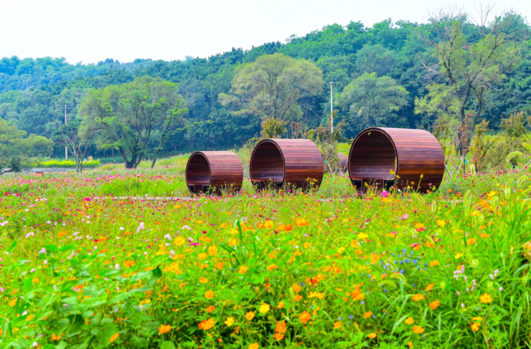 空调“续命”？沈阳喊你来避暑！这些地方超凉爽→