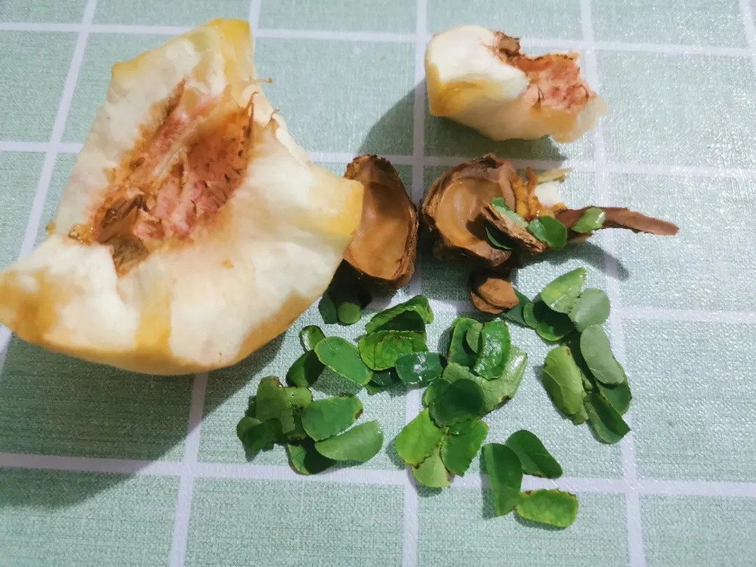 咬开桃子发现一堆树叶？莫慌！你是遇到了它→