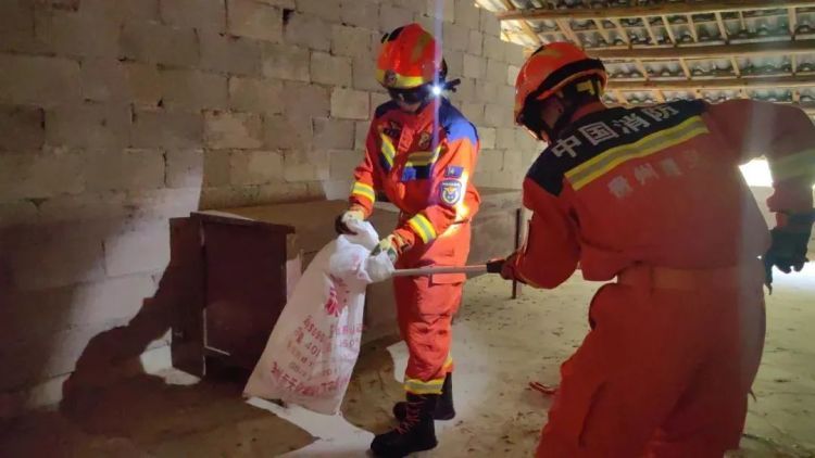 百只蝙蝠“强占”民房，消防成功劝离